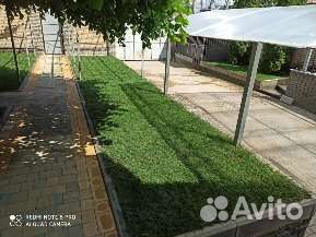 Рулонный газон под ключ