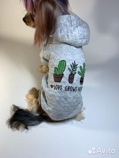 Одежда для собак /Комбинезон/Дождевик