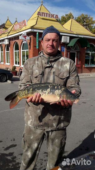 Платная рыбалка. Пруды Черноерковские