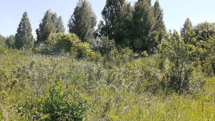 Участок 8 сот. (СНТ, ДНП)