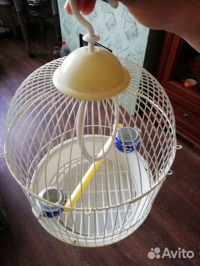Клетка для канарейки или попугая