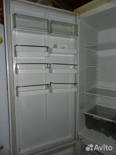 Реальный Атлант 2 метра с гарантией доставка