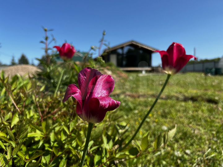 Дом 102,5 м² на участке 15 сот.