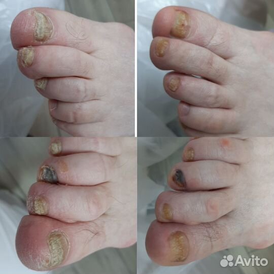 Подолог