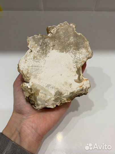 Камень для террариума