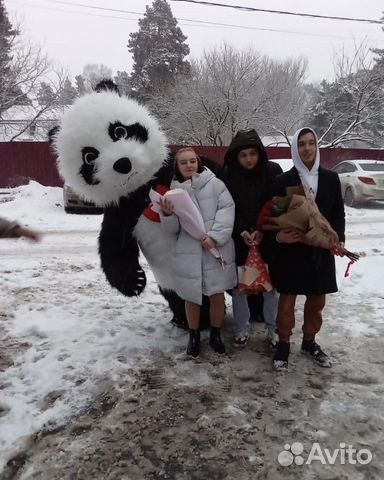 Мишка панда 2,60 м «живая открытка»