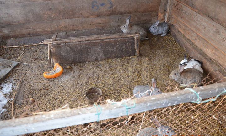 Дом 70 м² на участке 25 сот.