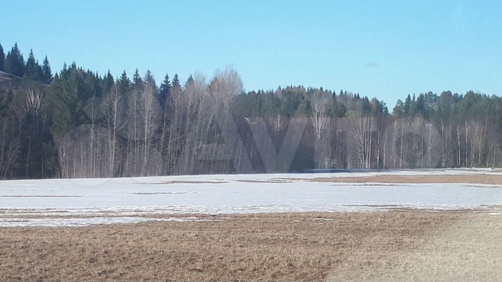 Участок 4,2 га (ИЖС)