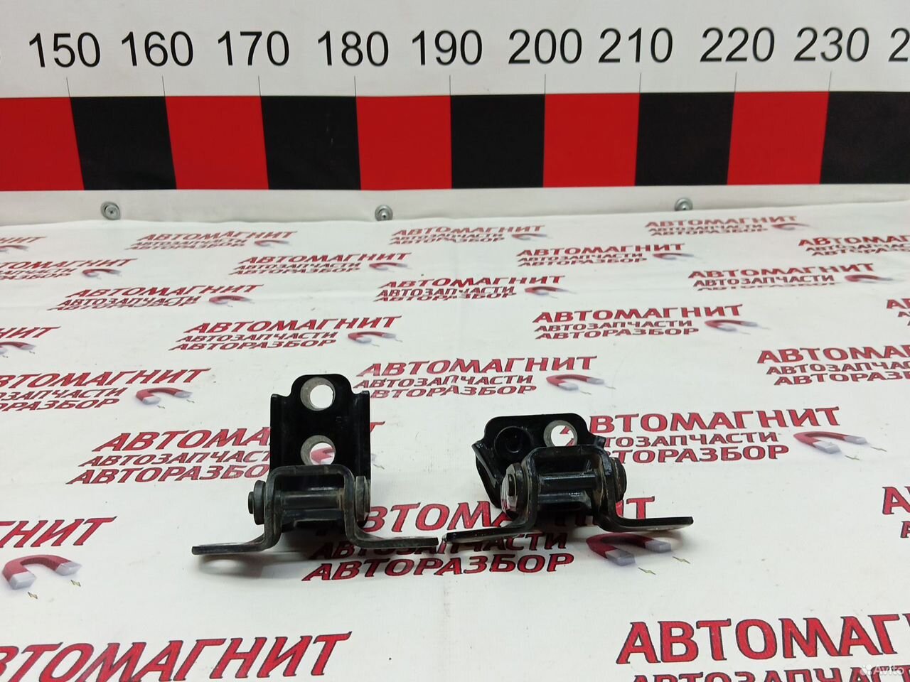 Петля двери задней правой Faw Bestune T77