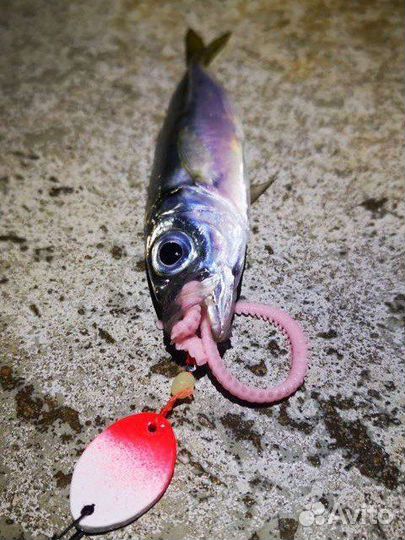 Булер для морской рыбалки