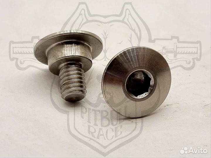 Винты крепления защиты перьев вилки М6, комплект