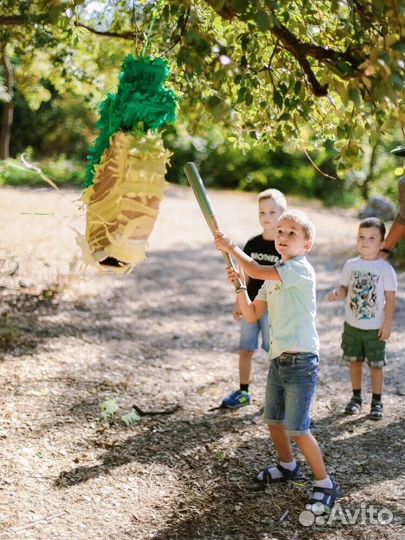 Аниматор на день рождения, шоу программы