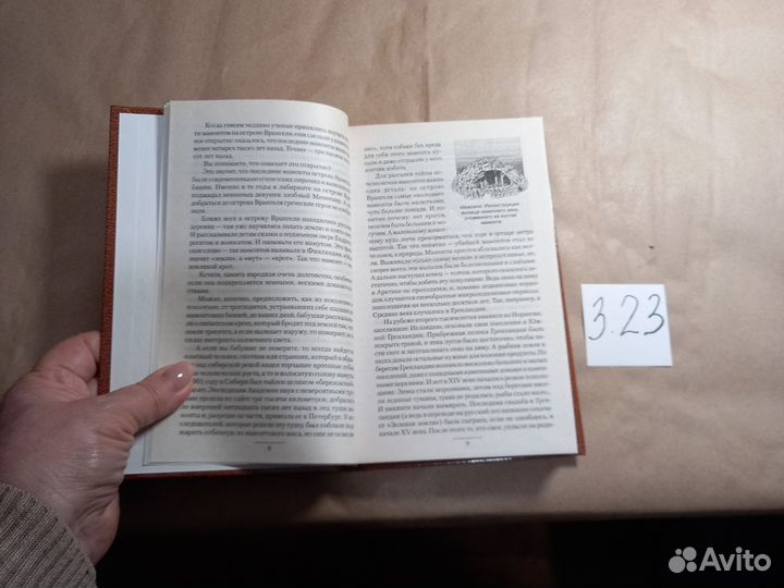 Можейко Игорь Тайная история. Тайны Руси и тайны Р