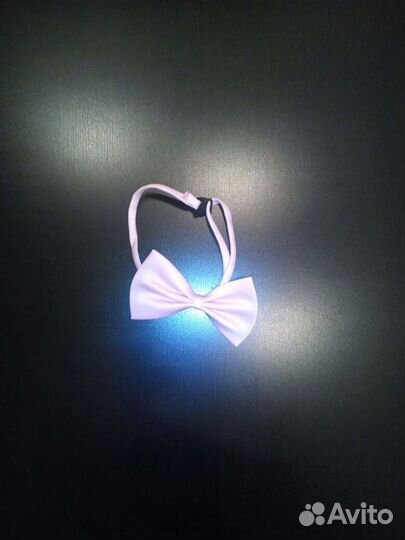 Комбинезон для собачки