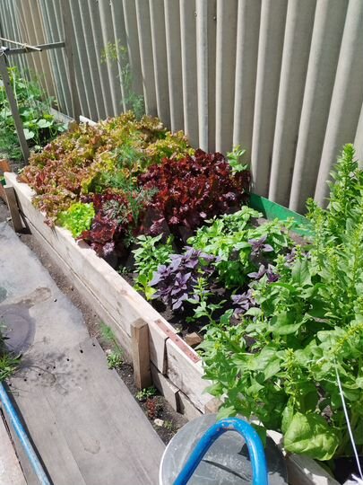 Участок 2,4 сот. (СНТ, ДНП)