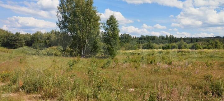 Участок 20 сот. (СНТ, ДНП)