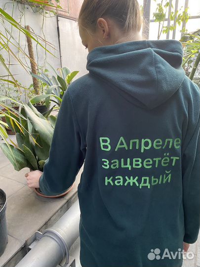 Уход за комнатными растениями