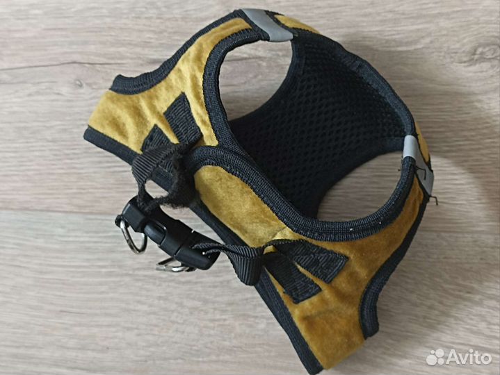 Шлейка для кошки или маленькой собачки