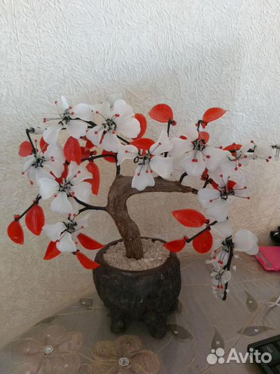 Сувенир сакура