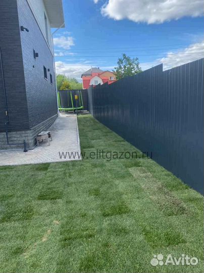 Укладка и продажа газона