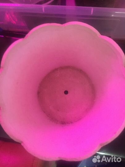 Цветочный горшок, керамика и пластик