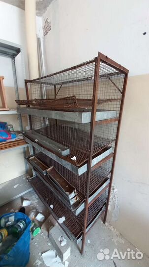 Клетки для перепелов бу