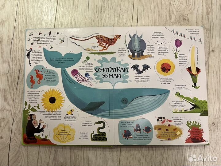 Книга с секретами «Самые важные знания«