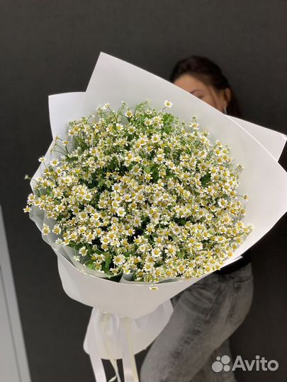 Ромашки кустовые букет