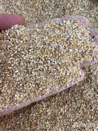 Каша для собак