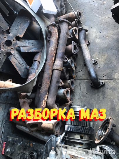 Коллектор маз