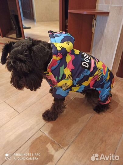Одежда для маленьких собак
