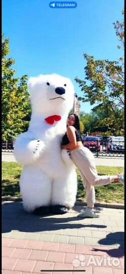 Белый мишка