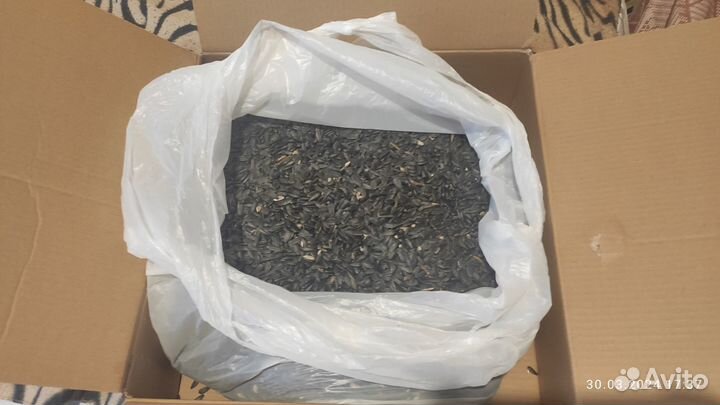 Семечки подсолнечника для птиц