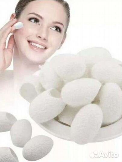 Коконы шелкопряда