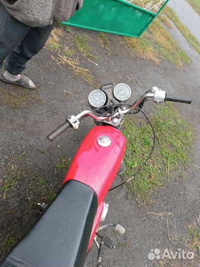 Рэйсер альфа