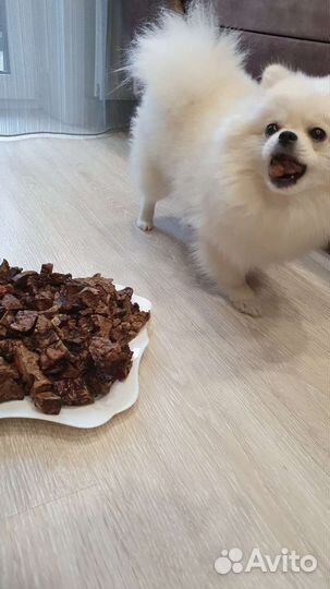 Лакомства для собак легкое говяжье