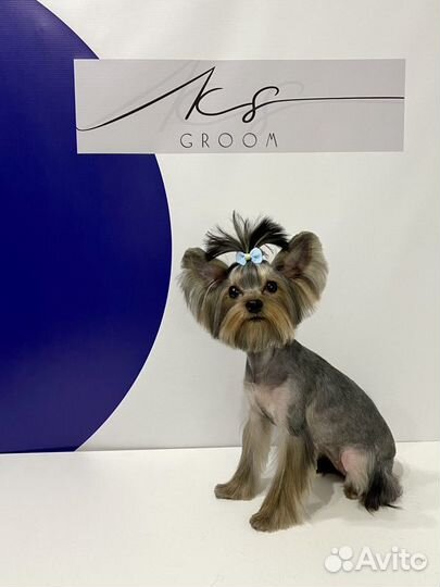 Стрижка животных