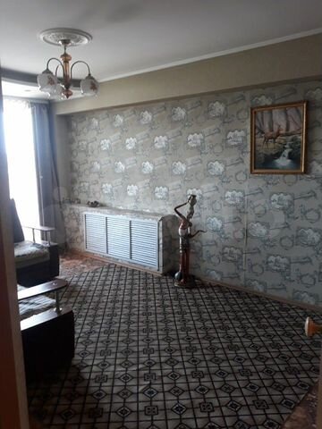 циан недвижимость реклама. циан чита снять. квартиры в новосибирске. кленовый бульвар 13 к1. квартиры в чите от собственника.