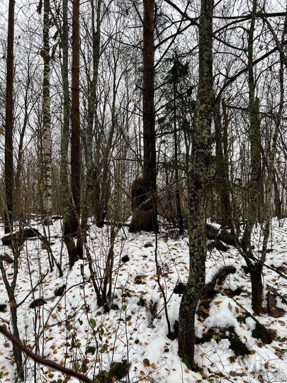 Индивидуальная Маскировка