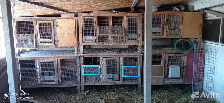 Клетка для кролика