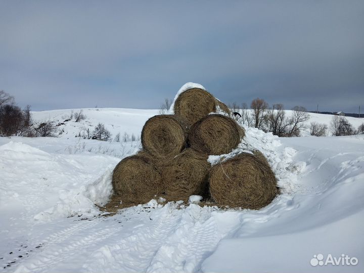 Солома в рулонах