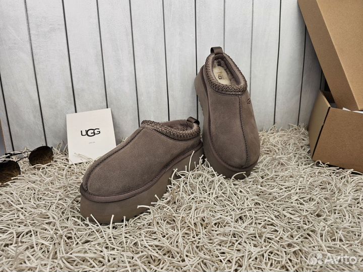 Ugg Tazz Platform Smoke женские оригинал