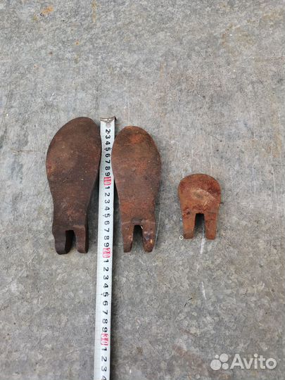 Лапа сапожная