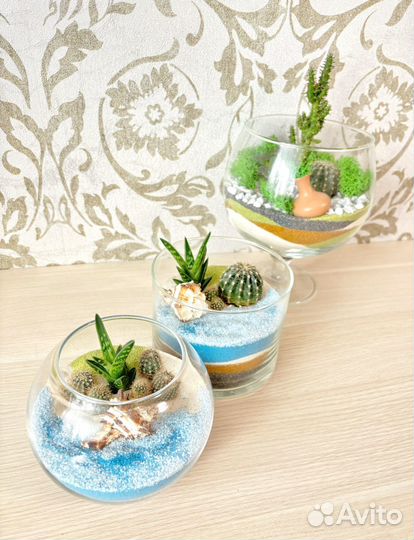 Флорариум с суккулентами