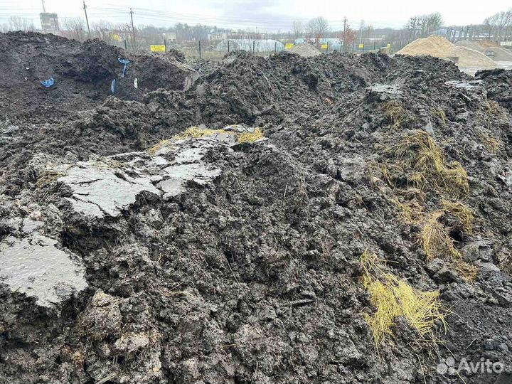 Навоз коровий