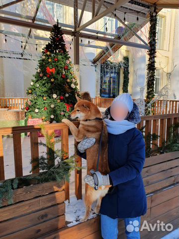 Комплект шапка + шарф