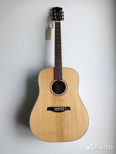 Гитара Parcwood s21-GT