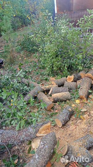 Распил деревьев и досок