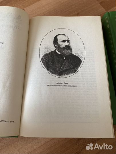 Брэм жизнь животных 3 книги