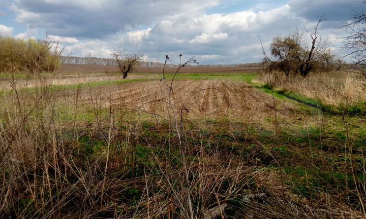 Участок 28 сот. (ИЖС)